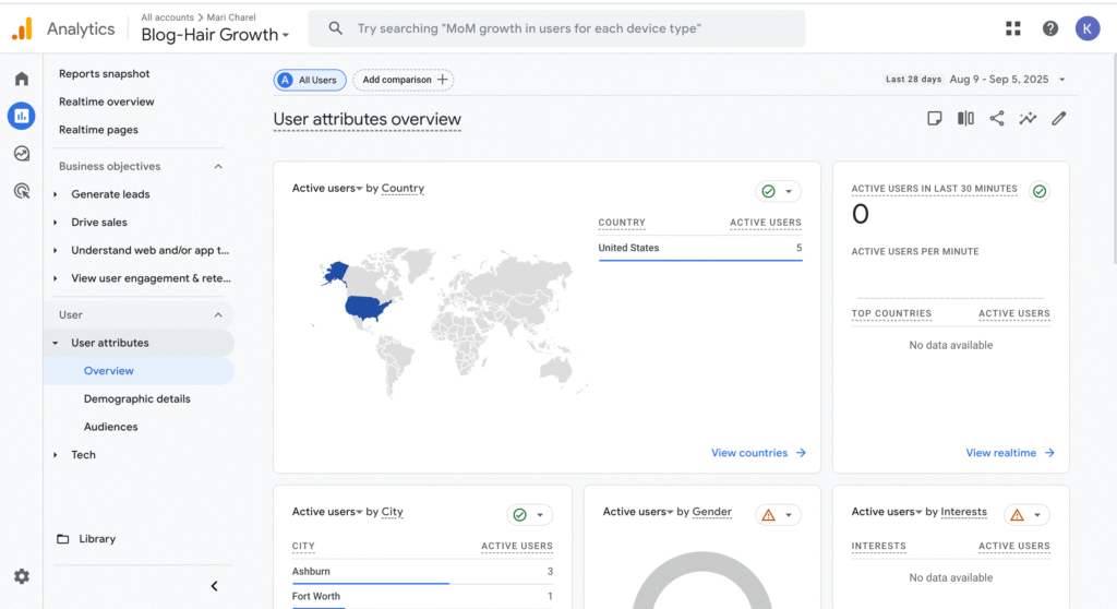 Screenshot of Google Analytics reports highlighting traffic sources like organic search, social, and referrals.
