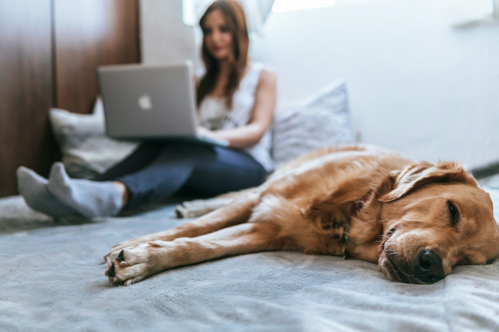 How To  Fix Your Internet for Home: Simple Wi-Fi Fixes