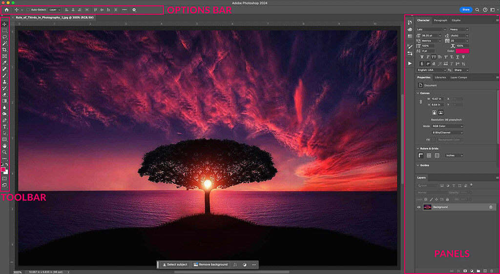 Canva for Video Ads and editing