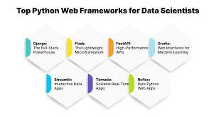 Python Web Framework