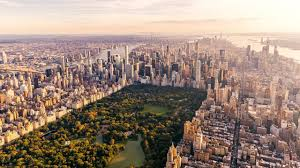 Google review management for NYC medical practices
